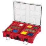 MilwaukeePACKOUT 11-Compartment Impact Resistant Portable Small Parts Organizer (48-22-8430)