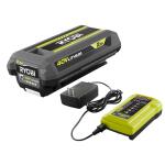 RYOBI40V 10 in. Cordless Battery Pole Saw with 2.0 Ah Battery and Charger (RY40560)