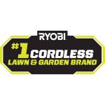 RYOBI40V 10 in. Cordless Battery Pole Saw with 2.0 Ah Battery and Charger (RY40560)