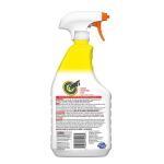 Shout Fabric Stain Remover, 32 fl. oz. - Trigger Spray (308680)