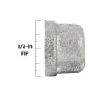 Southland1/2 in. Galvanized Malleable Iron Cap Fitting (511-403HN)