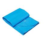 12 ft. x 20 ft. Blue Light Duty Tarp (612098)