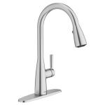 American Standard Fairbury 2S Stainless Steel Single-Handle Pull-Down Sprayer Kitchen Faucet (7418300.075)