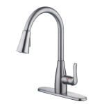 Glacier Bay McKenna Pull-Down Kitchen Faucet (Stainless)