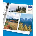 Avery 10-Pack Photo Storage Pages for Six 4 x 6 Mixed Format Photos 3-Hole Punched