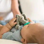 WubbaNub Gray Elephant Pacifier