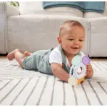 Infantino Discover and Play Rattle