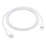 Apple Lightning to USB Cable (1 m)