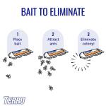 TERRO Indoor Liquid Ant Killer Baits (6-Count) (T300)