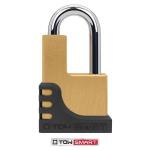 TowSmartBrass Coupler Lock (732)