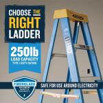 Werner 6 ft. Fiberglass Step Ladder (10 ft. Reach Height) with 250 lb. Load Capacity Type I Duty Rating (FS106)