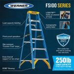 Werner 6 ft. Fiberglass Step Ladder (10 ft. Reach Height) with 250 lb. Load Capacity Type I Duty Rating (FS106)