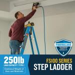 Werner6 ft. Fiberglass Step Ladder (10 ft. Reach Height) with 250 lb. Load Capacity Type I Duty Rating (FS106)