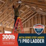 Werner 6 ft. Fiberglass Step Ladder (10 ft. Reach Height) with 300 lb. Load Capacity Type IA Duty Rating (NXT1A06)