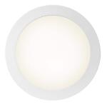 Commercial Electric 10" High Lumen White Surface Mount (92079)