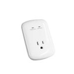 Commercial Electric1-Outlet Wall Mounted Surge Protector, White( LA-9A-17)