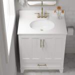 Glacier Bay19.5 in. White Undermount Oval Vitreous China Bathroom Sink