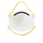 HDXN95 Disposable Adult Respirator Mask (10-Pack) (H950)