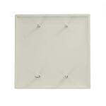 Leviton2-Gang White Blank Plate Nylon Midway/Midsize Wall Plate (1-Pack) - R52-0PJ23-00W