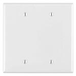 Leviton2-Gang White Blank Plate Nylon Midway/Midsize Wall Plate (1-Pack) - R52-0PJ23-00W