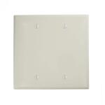 Leviton2-Gang White Blank Plate Nylon Midway/Midsize Wall Plate (1-Pack) - R52-0PJ23-00W