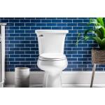 Bemis Mr. Clean Removes for Easy Cleaning + Antimicrobial Round Soft Close White Enameled Wood Closed Front Toilet Seat 