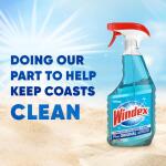 Windex 32 oz. Original Glass Cleaner Commercial Line Trigger Bottle (308534)