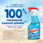 Windex 23 fl. oz. Original Glass Cleaner (313042)