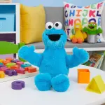 Sesame Street Friends Cookie Monster Plush