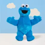 Sesame Street Friends Cookie Monster Plush