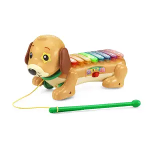 VTech Zoo Jamz Xylophone