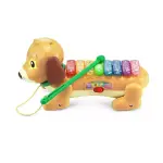 VTech Zoo Jamz Xylophone