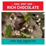 CLIF Bar 5 Energy Bars Cool Mint Chocolate