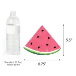 Big Dot of Happiness 20-Set Sweet Watermelon - Decorations DIY Fruit Party Essentials