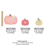 Big Dot of Happiness 15-Set Girl Little Pumpkin Table Toppers